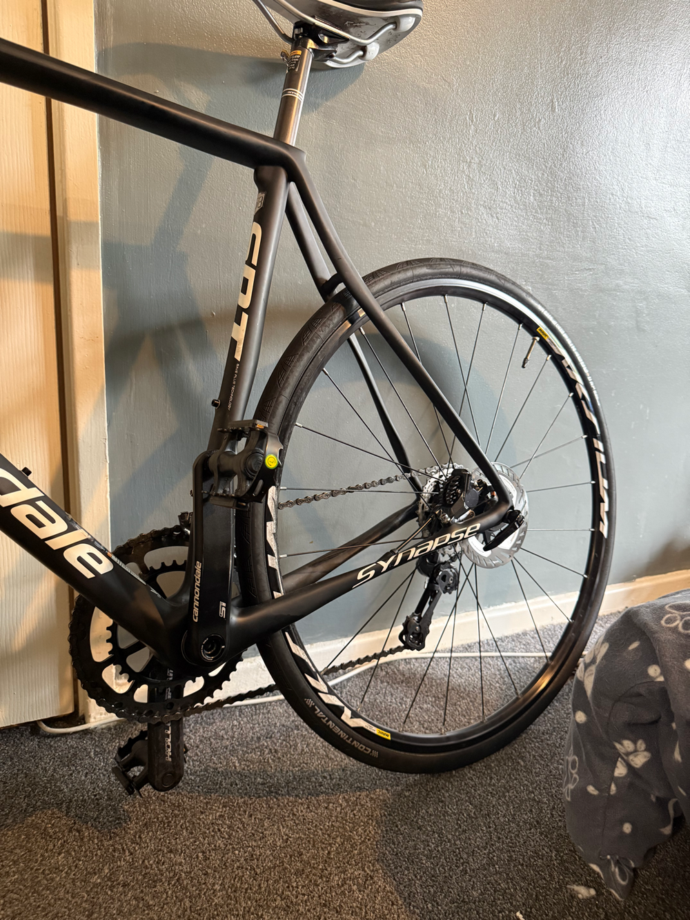Cannondale Synapse Carbon Disc Ultegra 2020