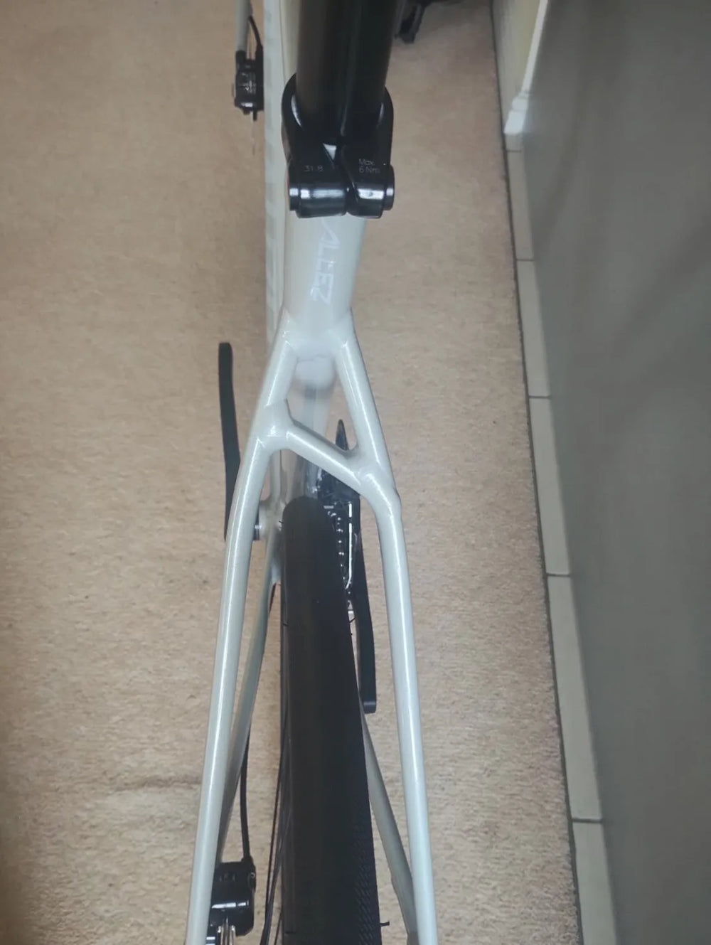Specialized Allez Comp 2026