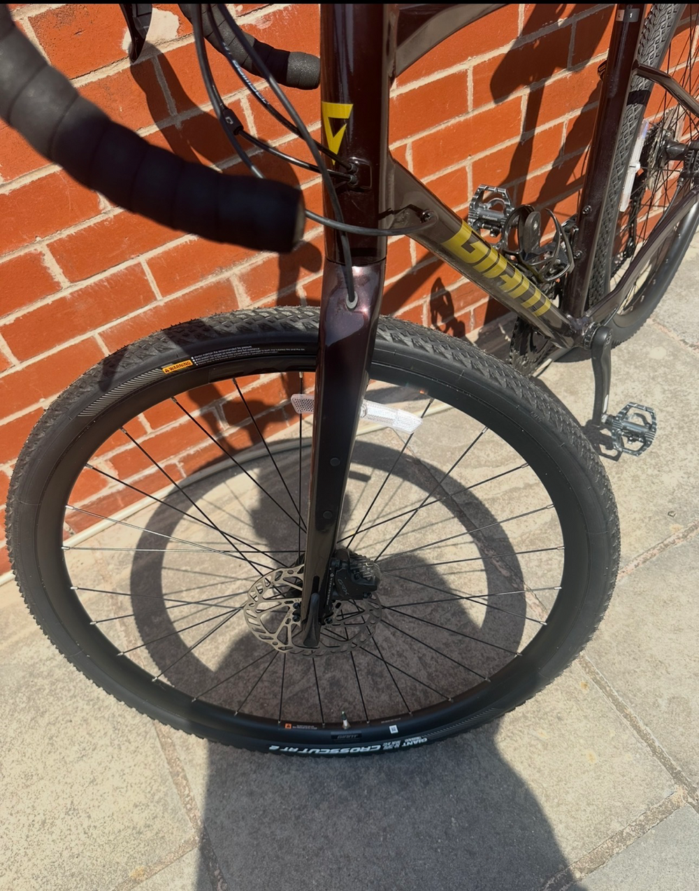Giant Revolt 1 2024