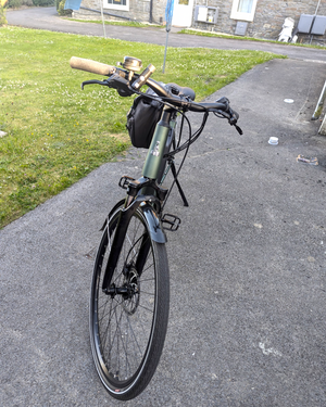 Raleigh Motus Ltd Lowstep Electric 2025