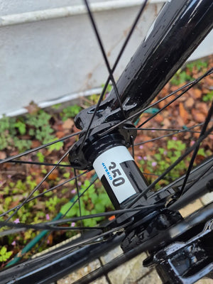 Forbidden Druid 2 29er 2025