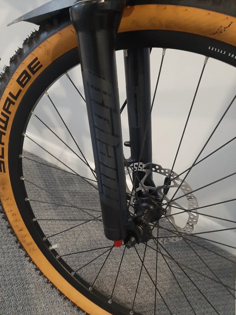 Serious cycles Global  Shoreline  2021