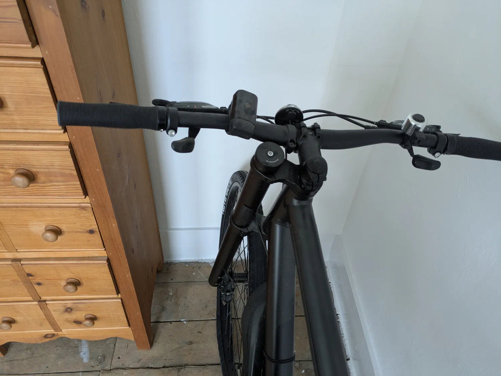Cannondale Bad Boy 2 Disc 2019