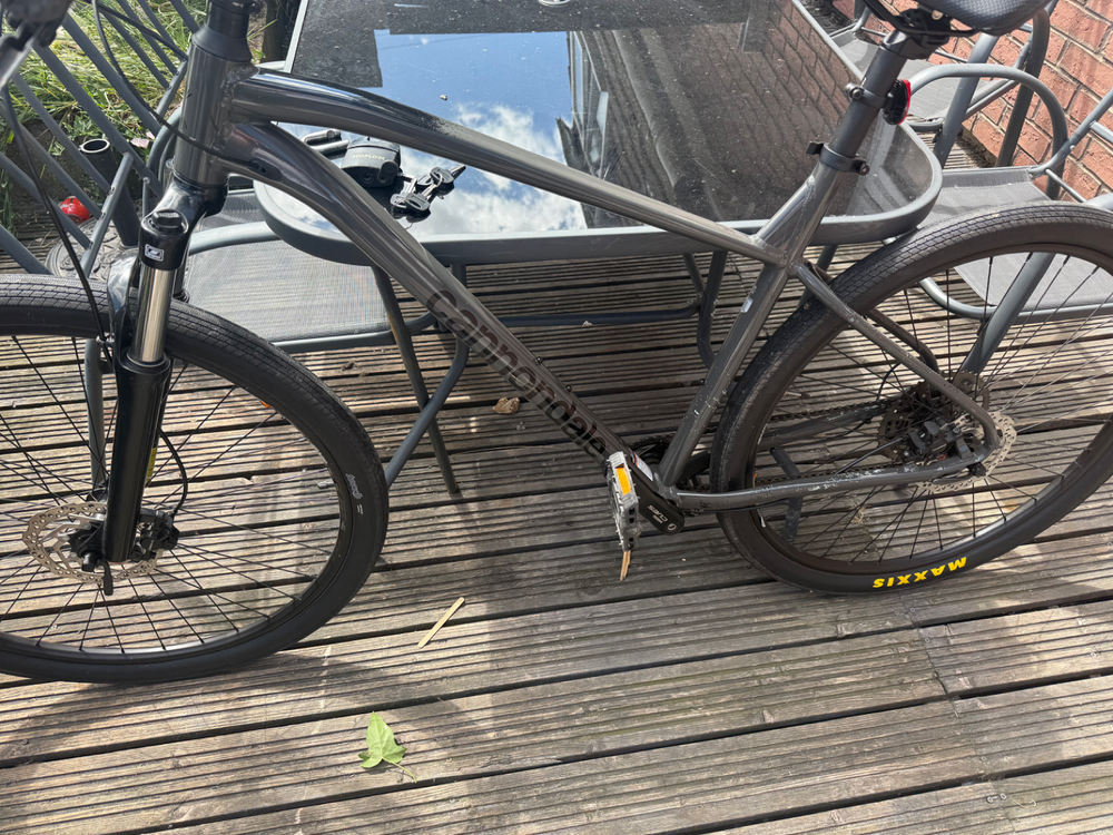 Cannondale Trail 6 29 2025