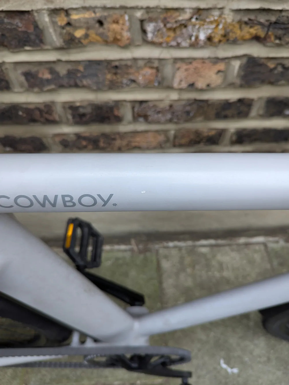 Cowboy 3 2021