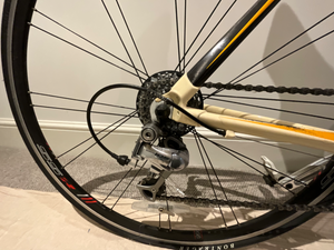 Trek 2.1 2009