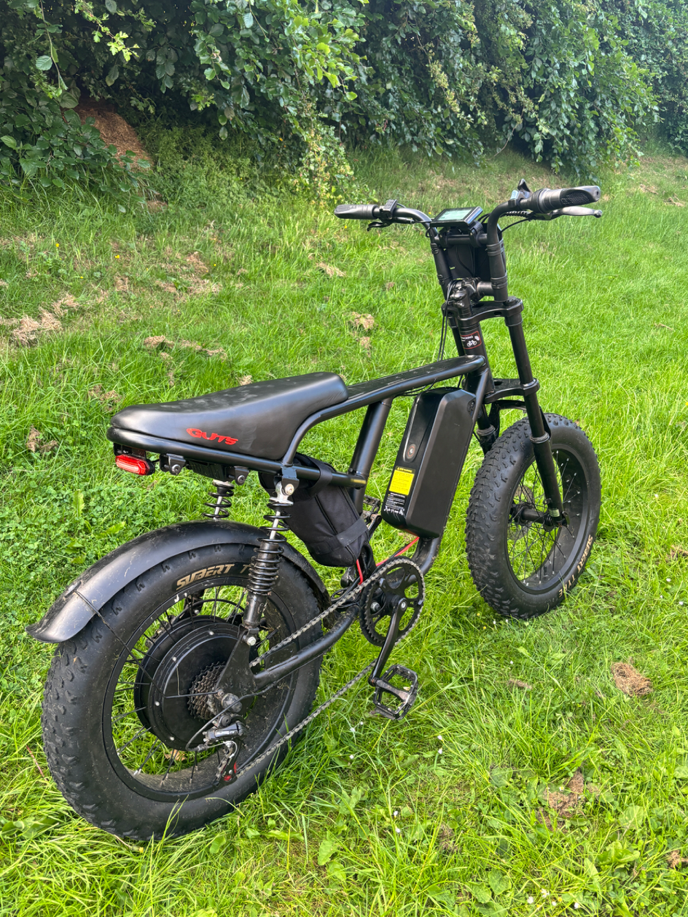 Custom Fat bike 2025