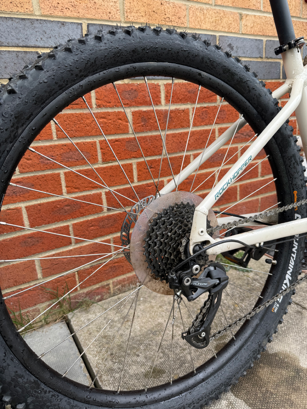 Specialized Men's Rockhopper 2019