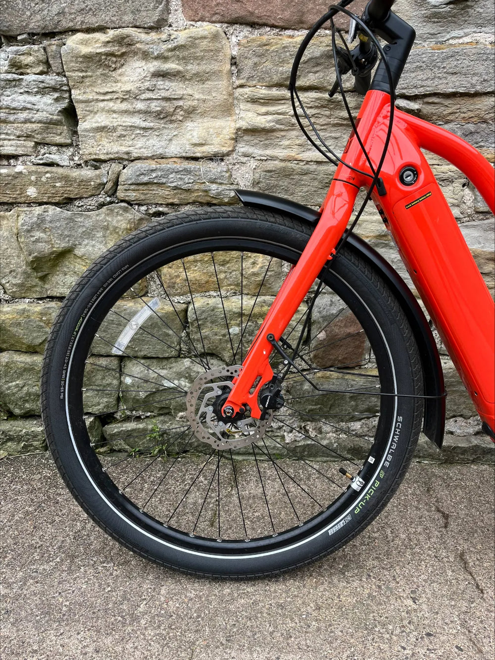 Momentum Transend E+ 2023