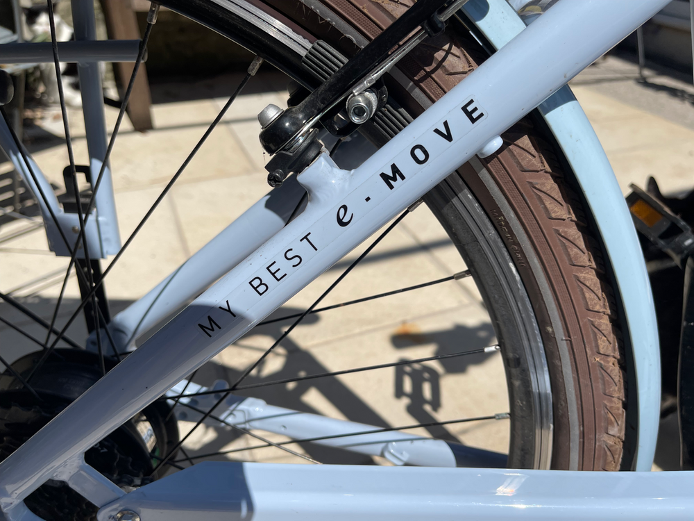 MBM Pulse 2023