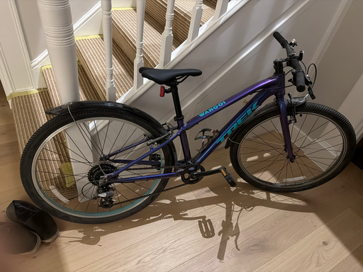 Trek Wahoo 26 2021