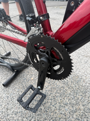 Trek Domane+ 2019