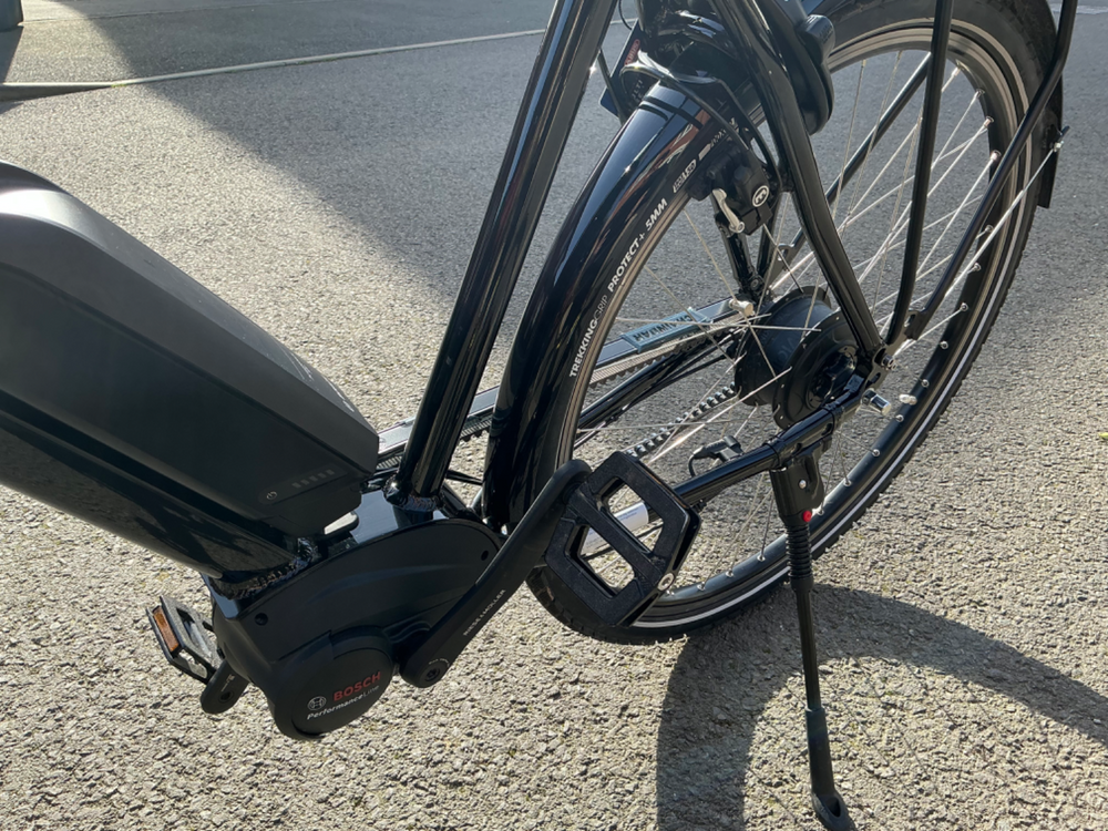 Riese and Muller Roadster Vario 2022