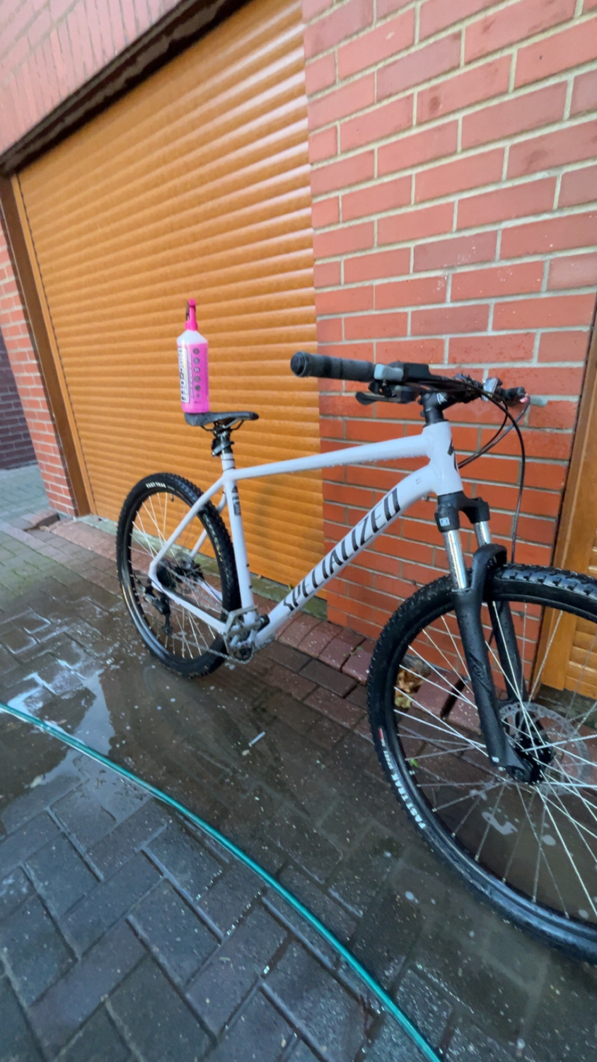 Specialized Rockhopper 29 2026
