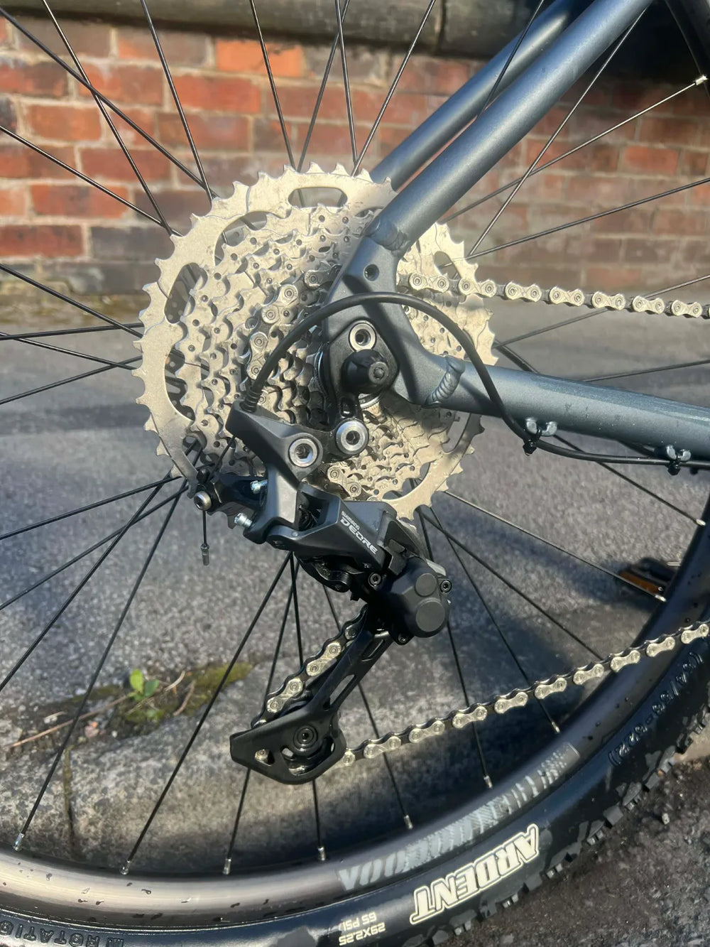 Voodoo Horde 29 2023