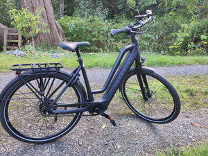 Gazelle Chamonix C5 HMS Low-Step 2022