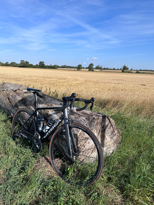 Orbea ORCA M20 2019