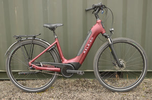 Raleigh Motus Grand Tour Hub Gear Low Step 2022