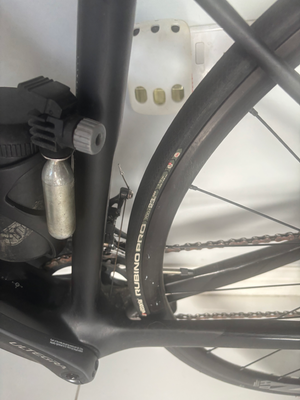 Silver Back Ultegra carbon 2024