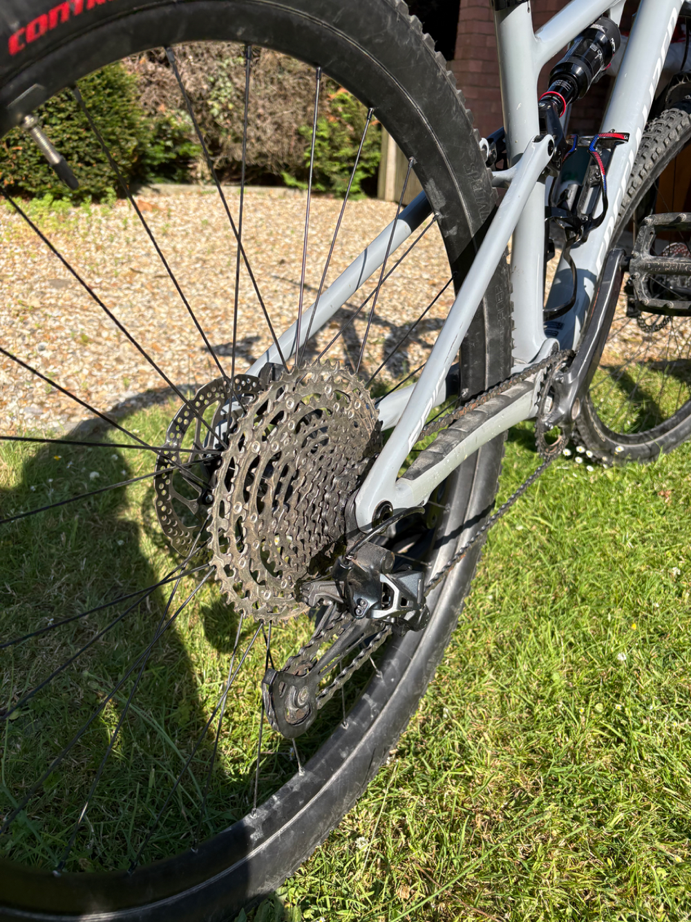 Specialized Epic Evo 29 2022