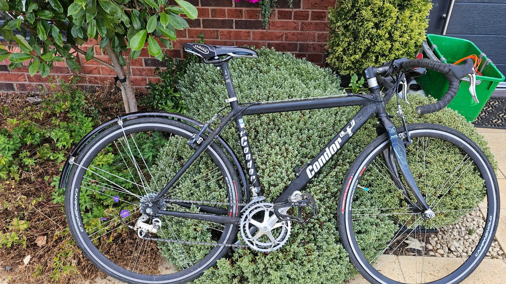 Condor Fratello Road 2025
