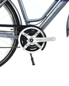 Raleigh Pioneer Low Step Frame 2021