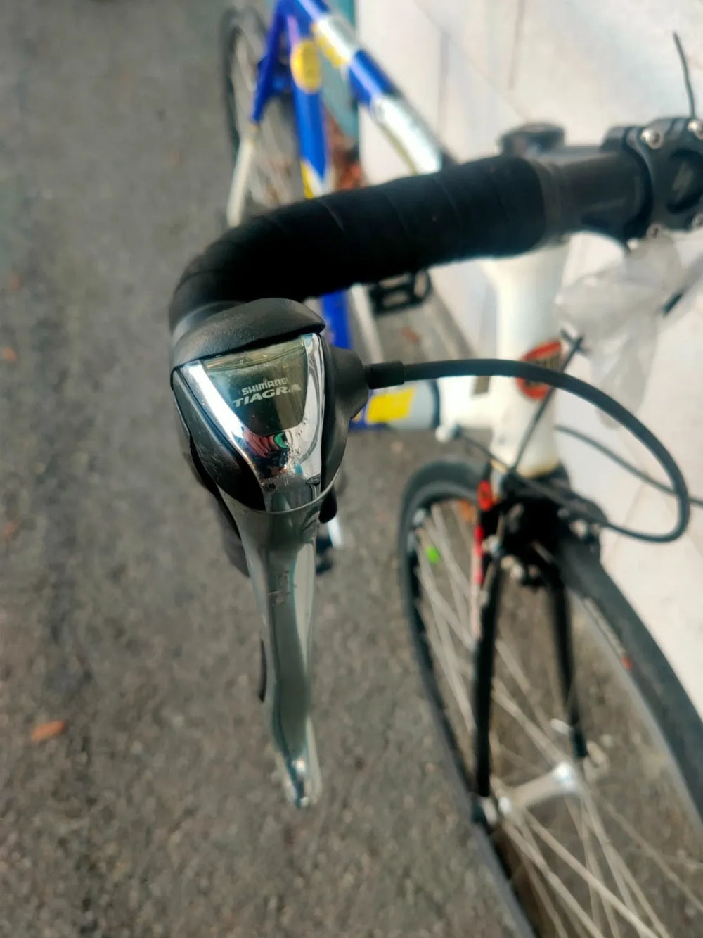 Massi Comp Team Men's Road Bike
