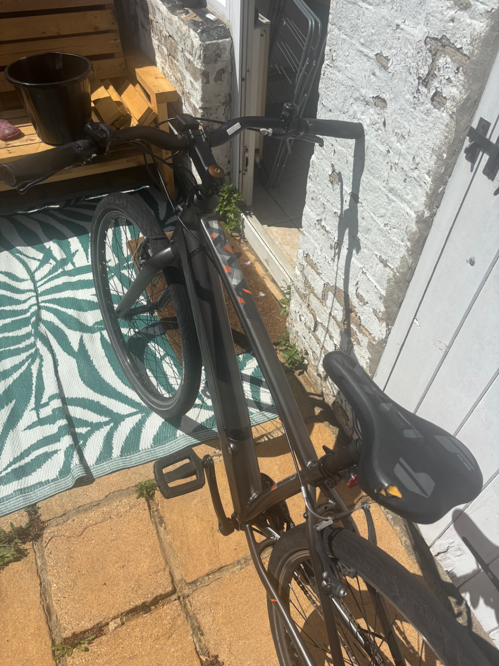 Carrera impel im 2022