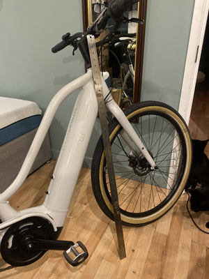 Momentum Transend E+ 2024