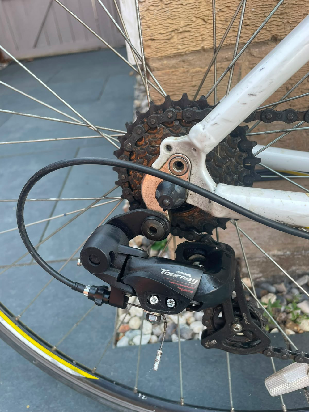 Carrera TDF Ltd 2013