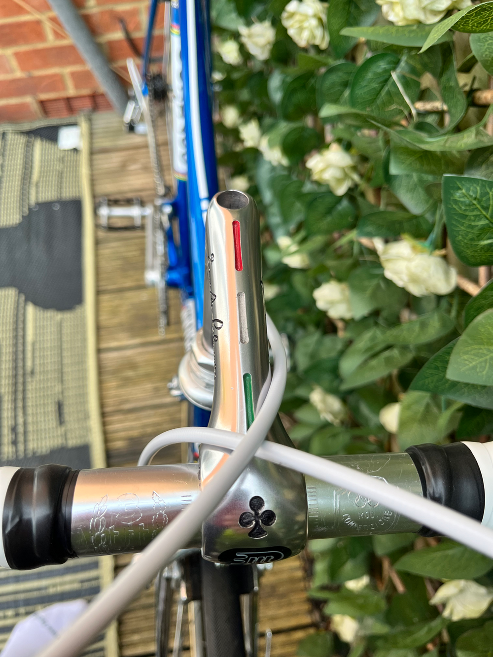 Colnago Super profil 1981