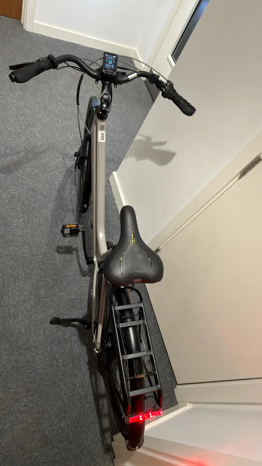 Peddle Step 2024