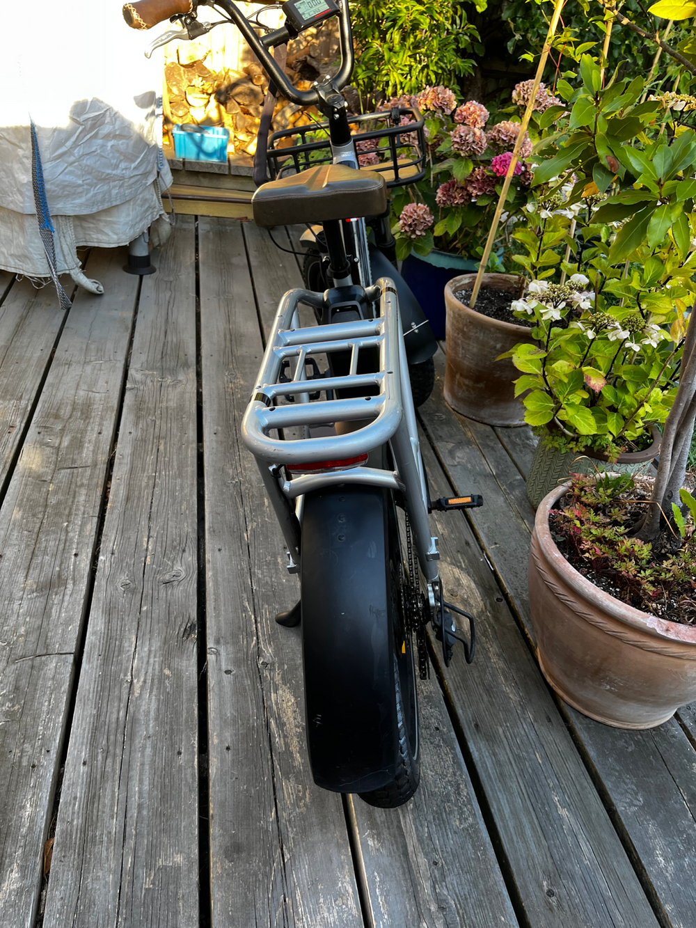 Rad Power RadRunner Plus 2021