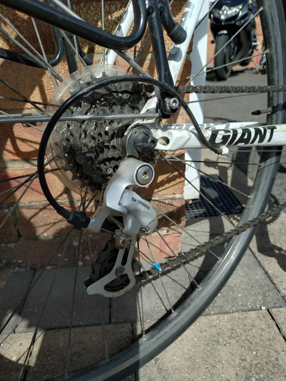 Giant Rapid 4 2010