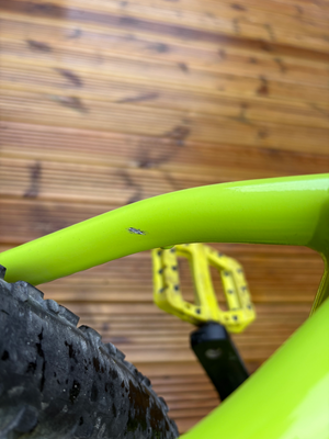 Trek Powerfly 5 2020