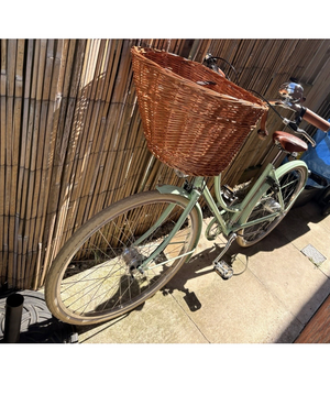 Pashley Britannia 5 Speed 2025