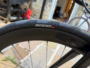 Focus Izalco Max 8.8 2020
