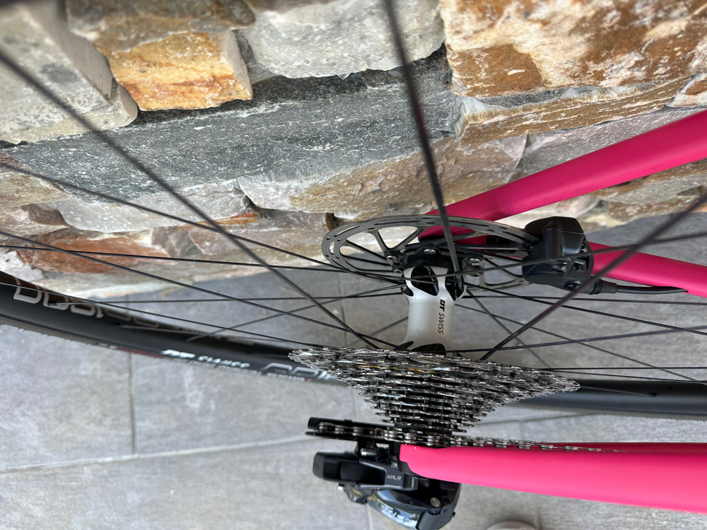 vielo v+1 v+1 race 2022