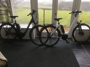 Raleigh Motus Step Through Bosch 2022