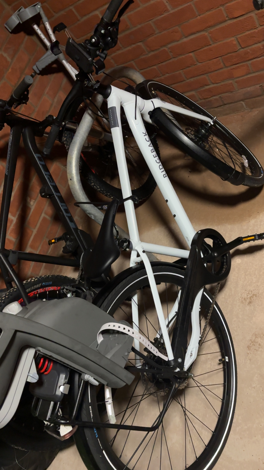 Ridgeback Terrain 1 2024