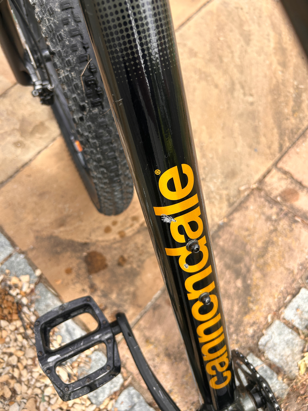 Cannondale Cujo 2 2021