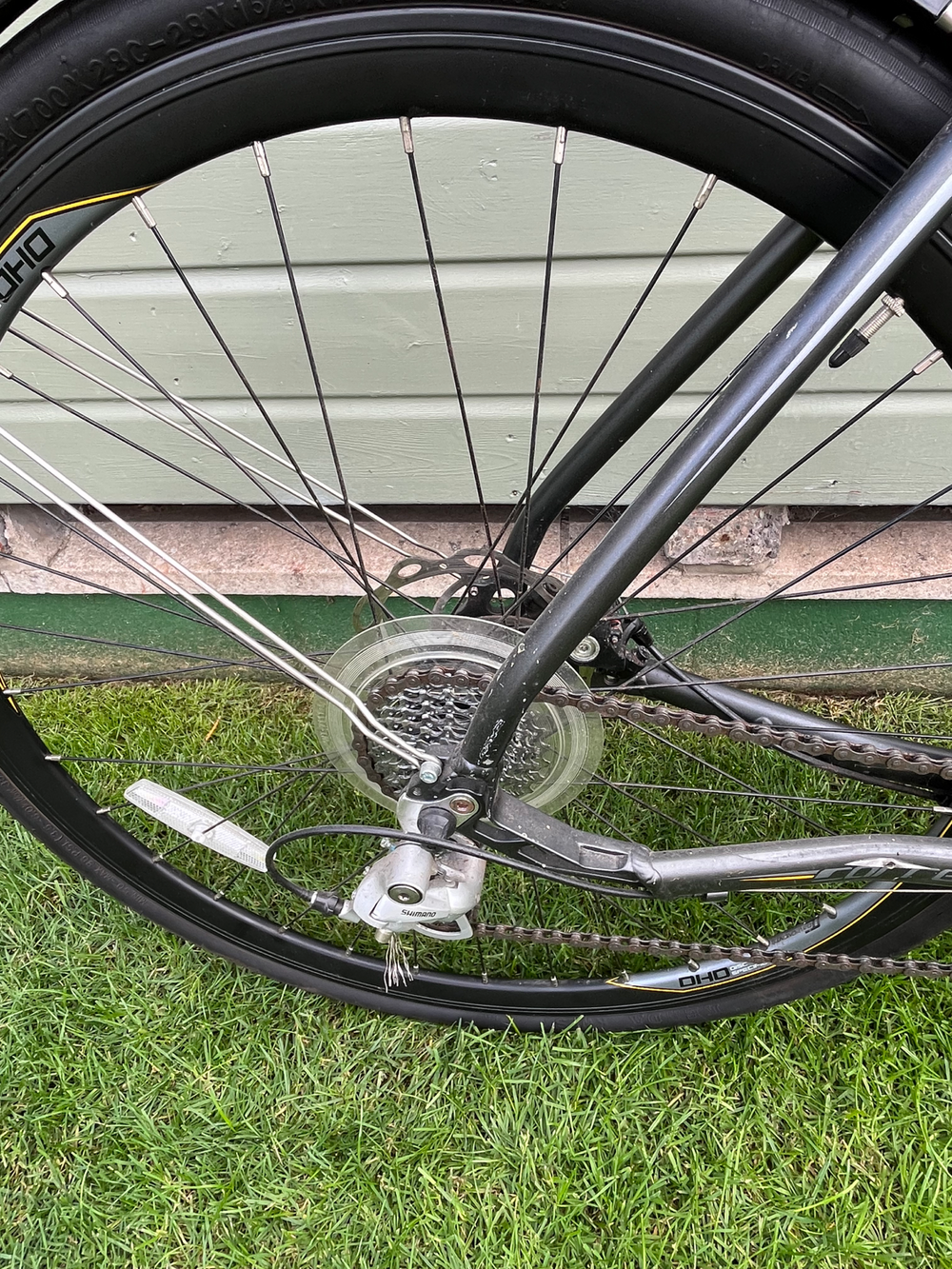 Carrera Gryphon 2020