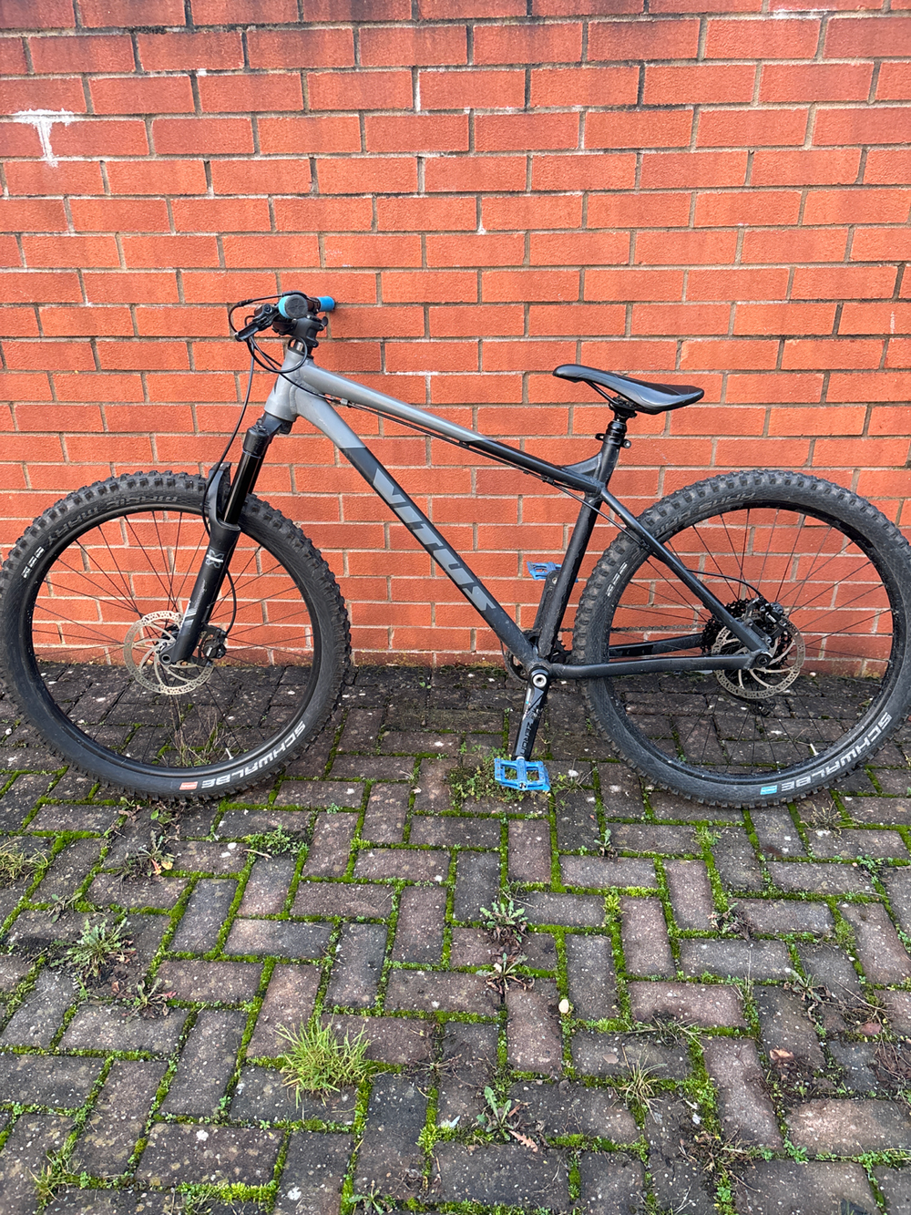 Vitus Sentier 29 VR 2019