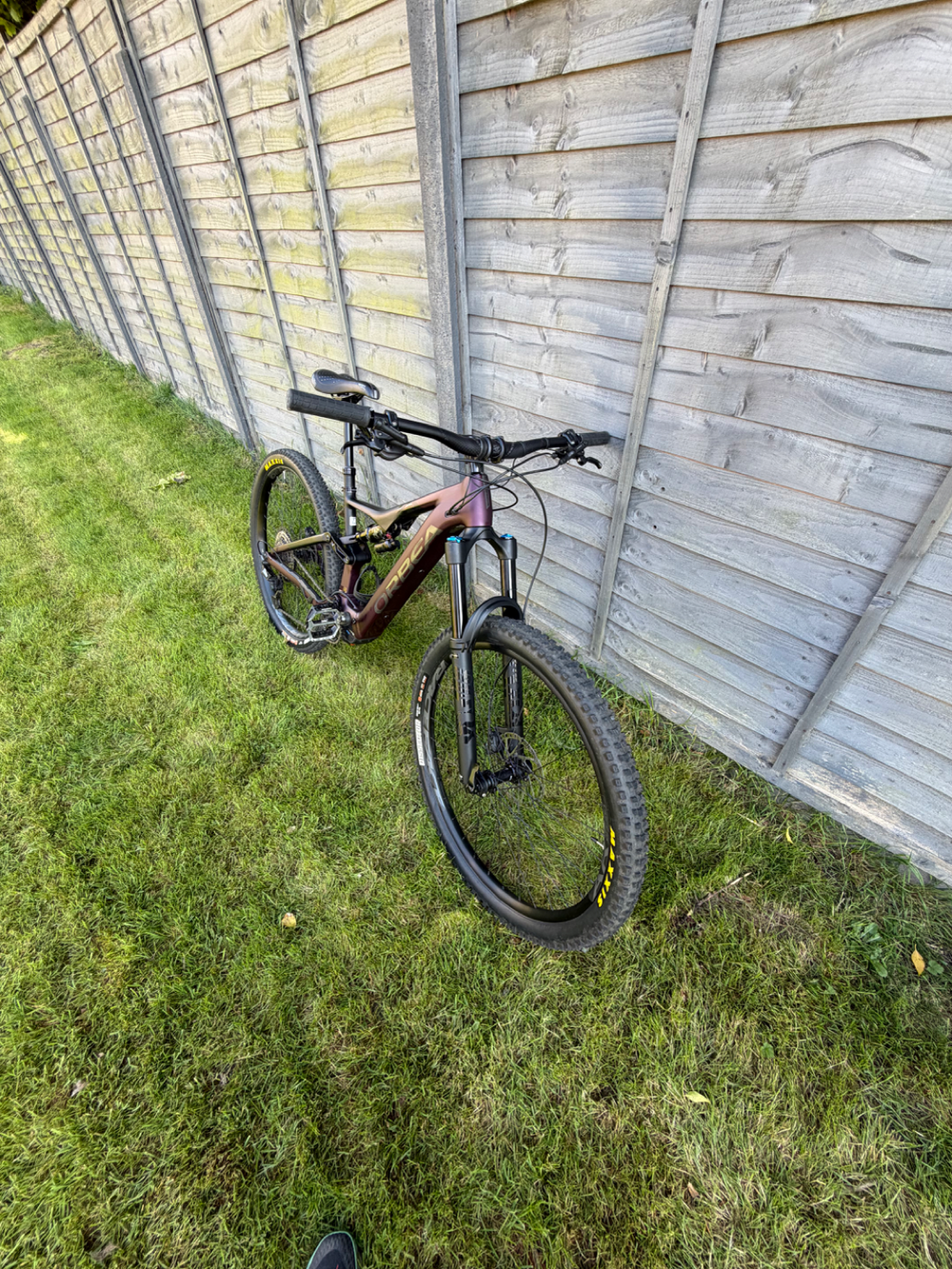 Orbea Rise H15 2022