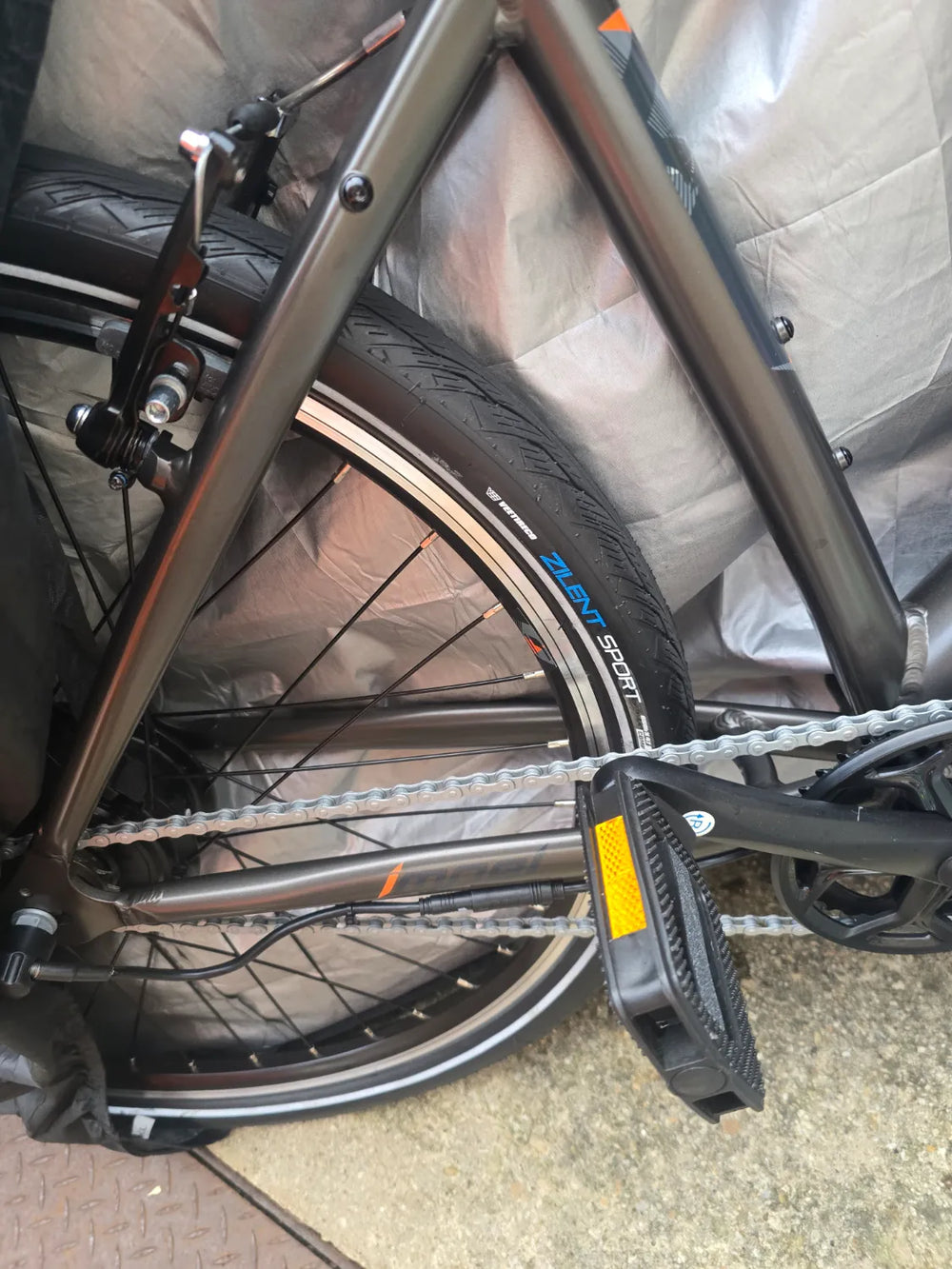 Carrera impel im 2022