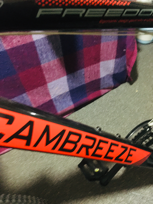 Cambreeze