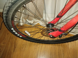 Carrera 29 Sulcata.