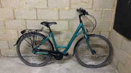 Ridgeback Avenida 7 2024