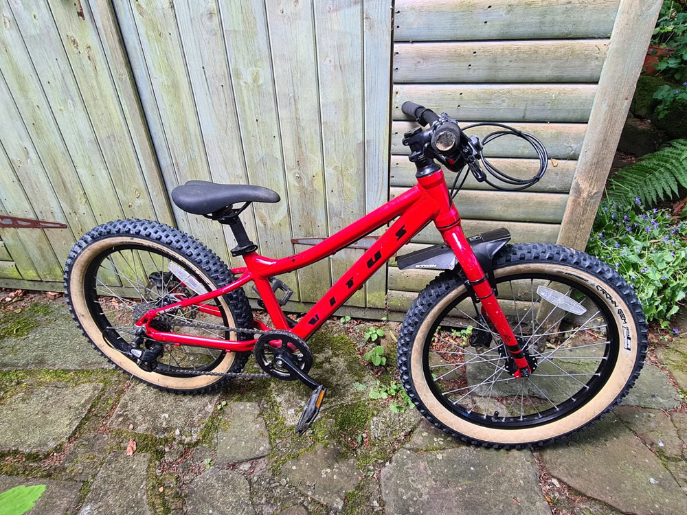 Vitus 20 Plus 2019