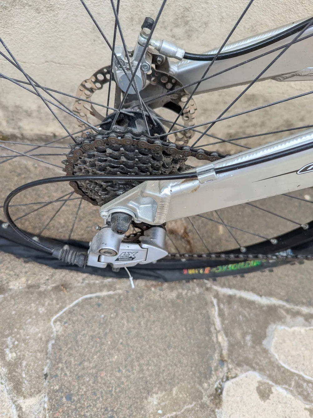 Marin Rift Zone 2 2004